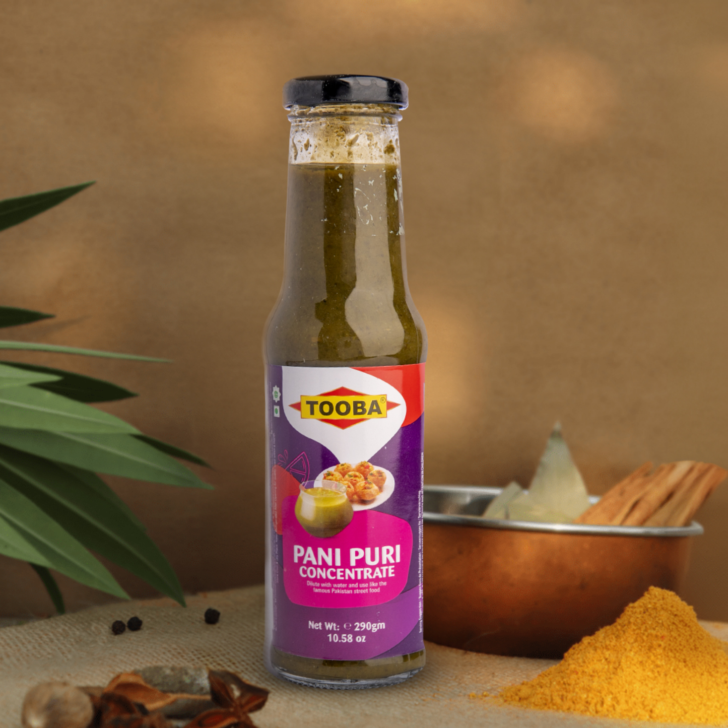 PANI PURI SPICE MIX