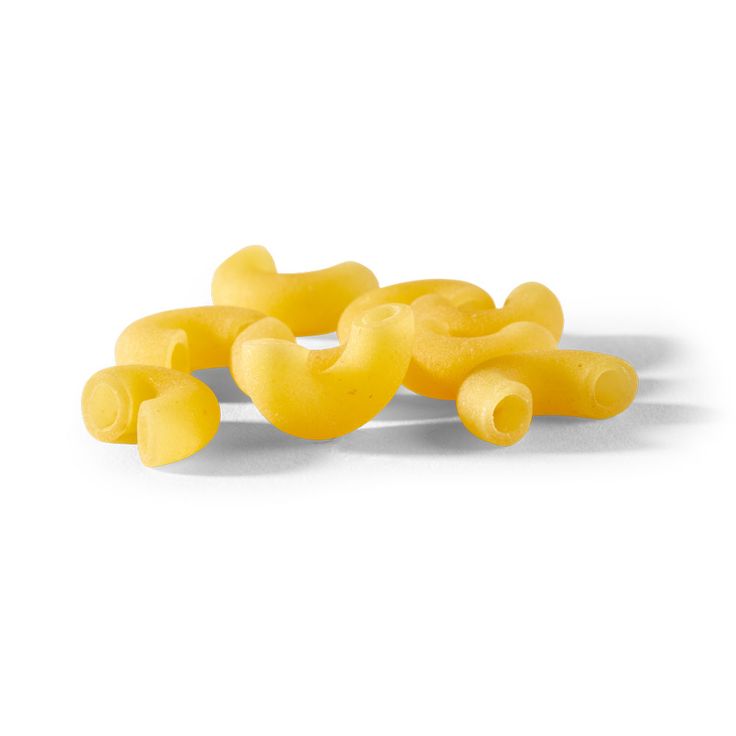 Elbow Macroni